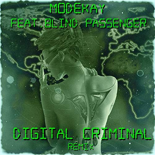 Digital Criminal