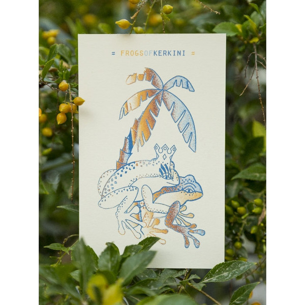 Frogs of Kerkini