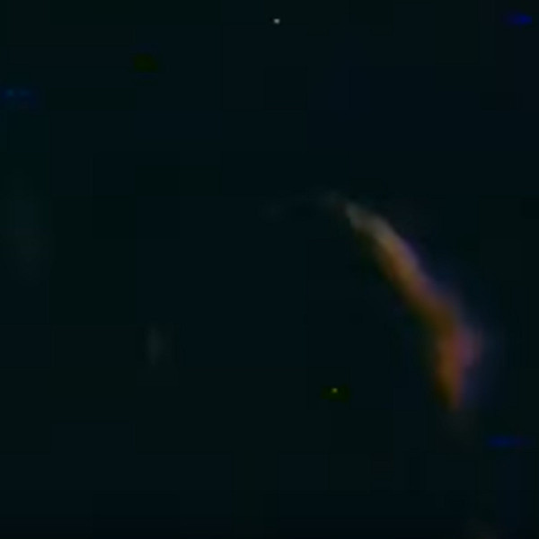 Under Starlit Firmament