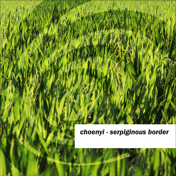 Serpiginous Border