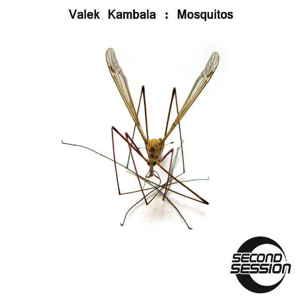 Mosquitos