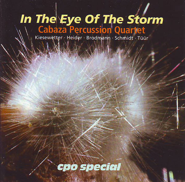 In The Eye Of The Storm
