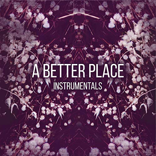 A Better Place (Instrumentals)