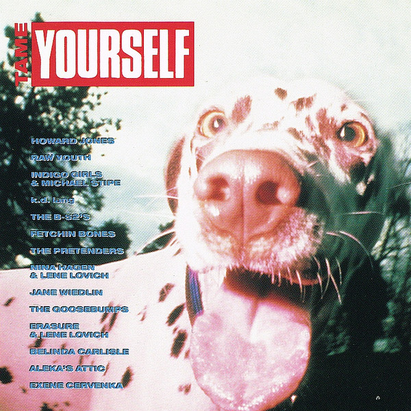 Tame Yourself