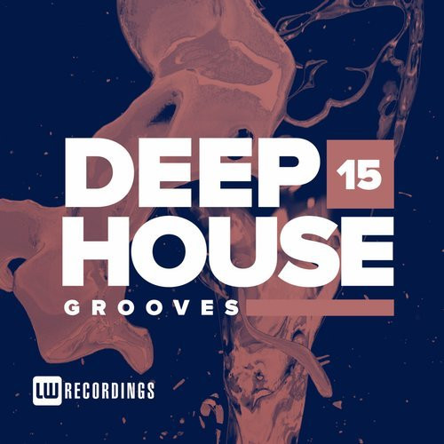 Deep House Grooves 15