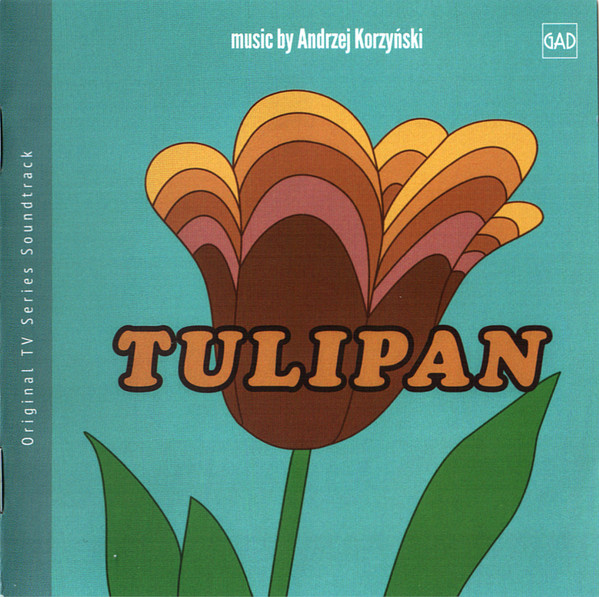 Tulipan