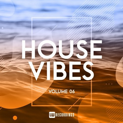 House Vibes Volume 06