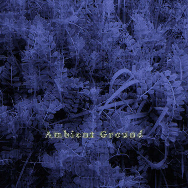 Ambient Ground