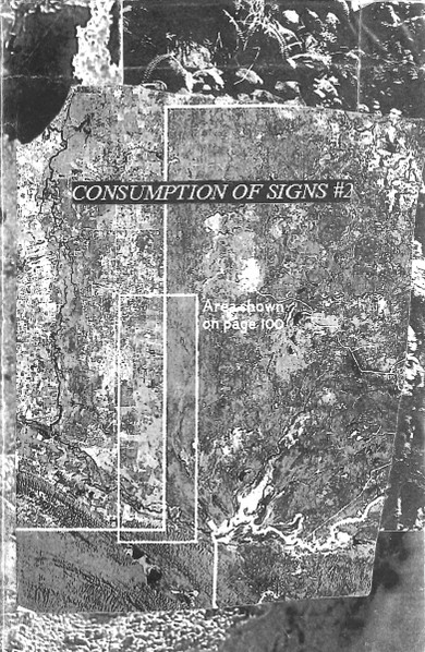 Consumption of Signs #2