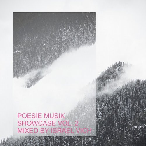 Poesie Musik Showcase Vol. 2