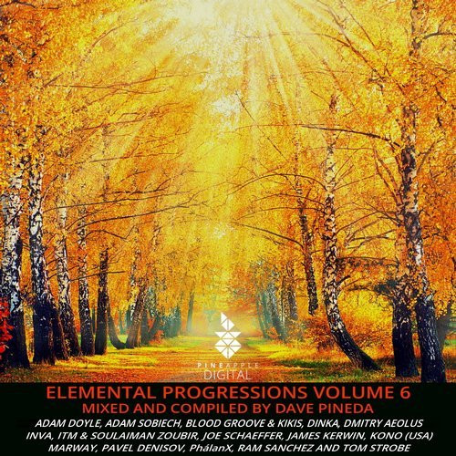 Elemental Progressions Volume 6
