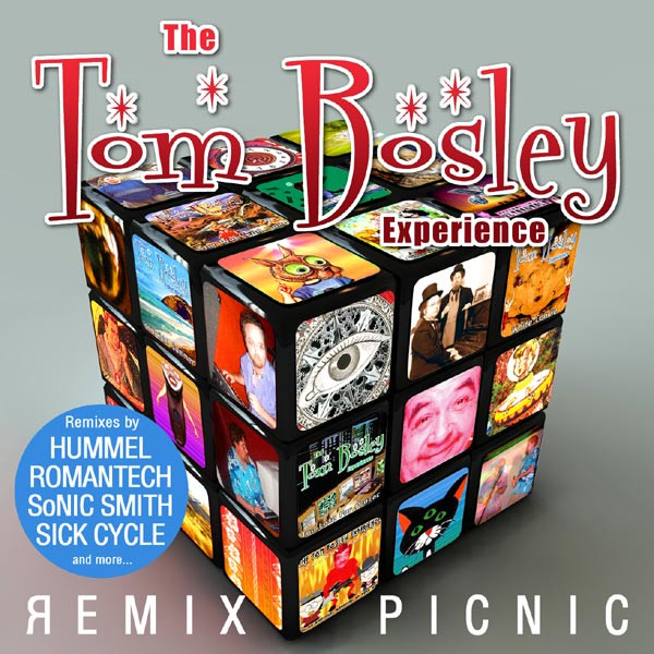 Remix Picnic