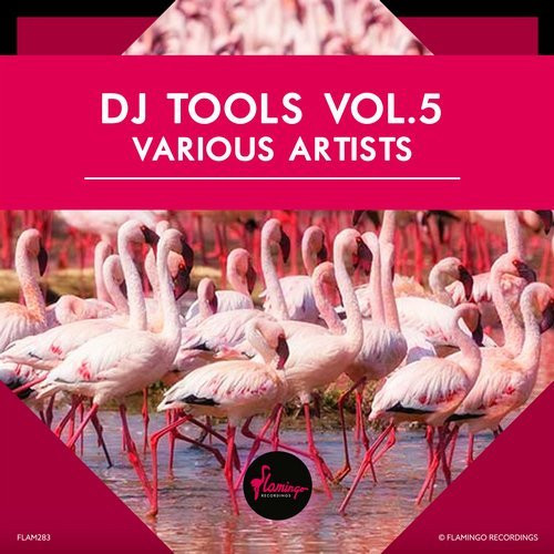 DJ Tools Vol.5
