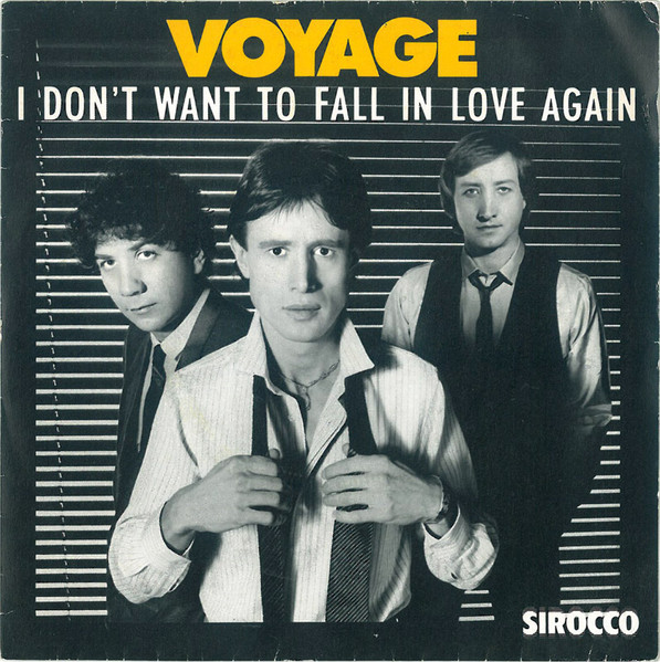 I Don't Want To Fall In Love Again