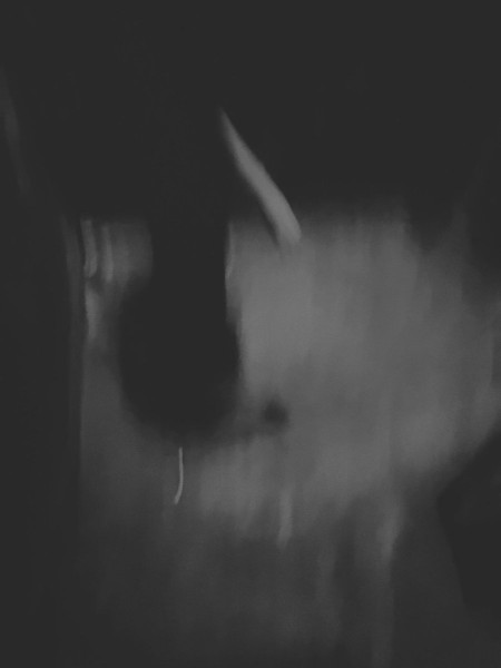 Mythologies I
