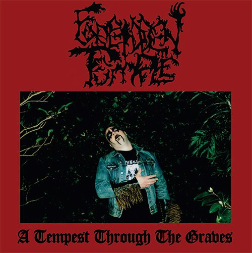 A Tempest Through The Graves