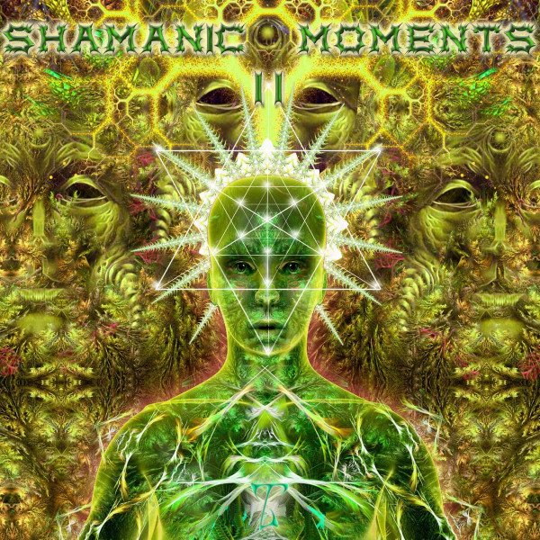 Shamanic Moments II