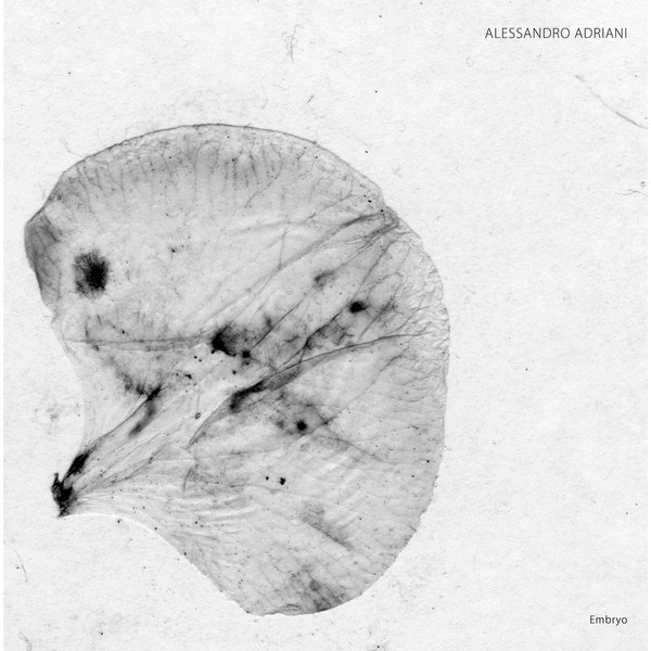 Embryo 