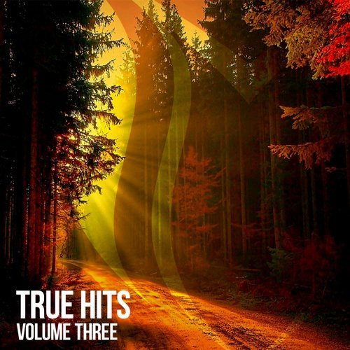 True Hits Volume Three