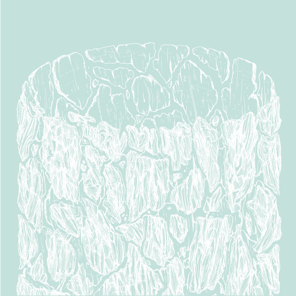 Corteccia