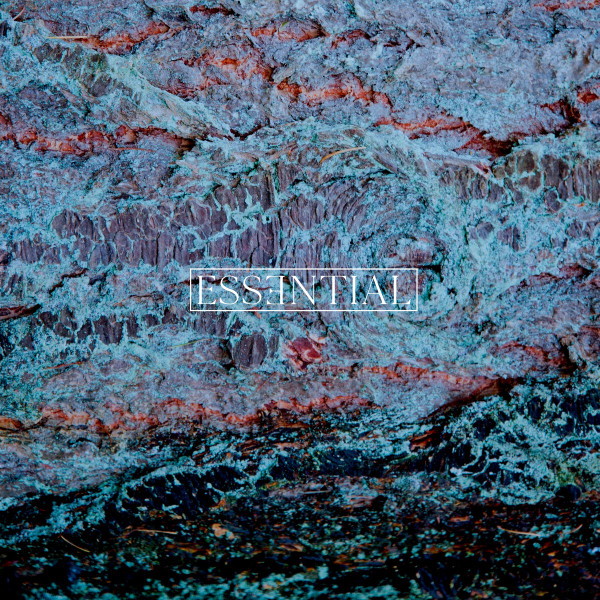 Essential 003