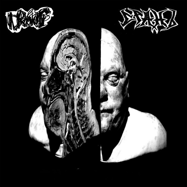 Drochills / СРАНЪ (Split 2019)