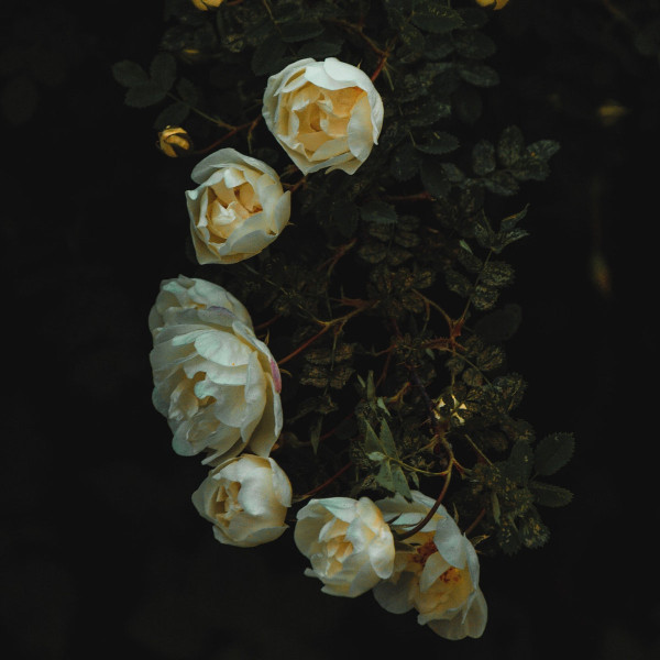 Eternity