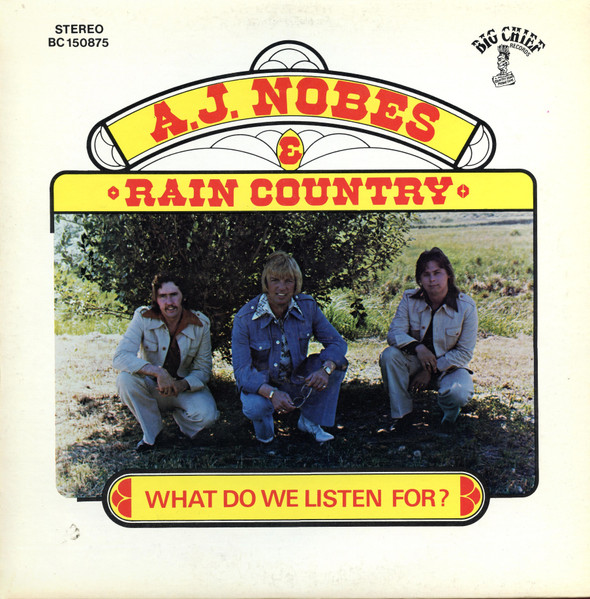 What Do We Listen For