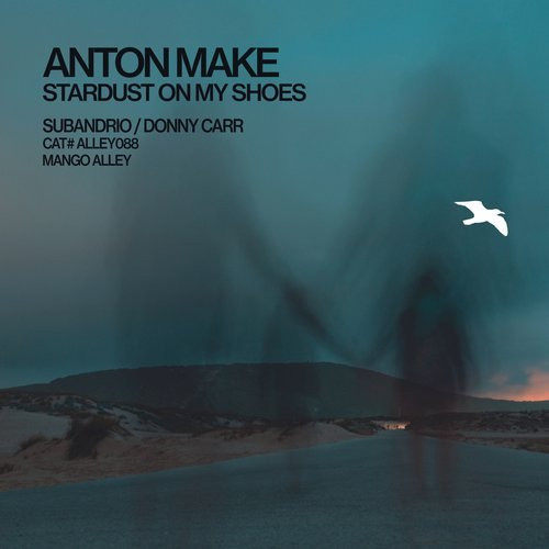 Stardust On My Shoes