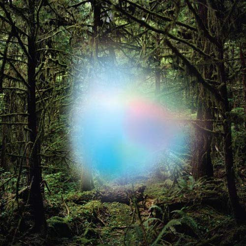 Ghosts Of The Forest