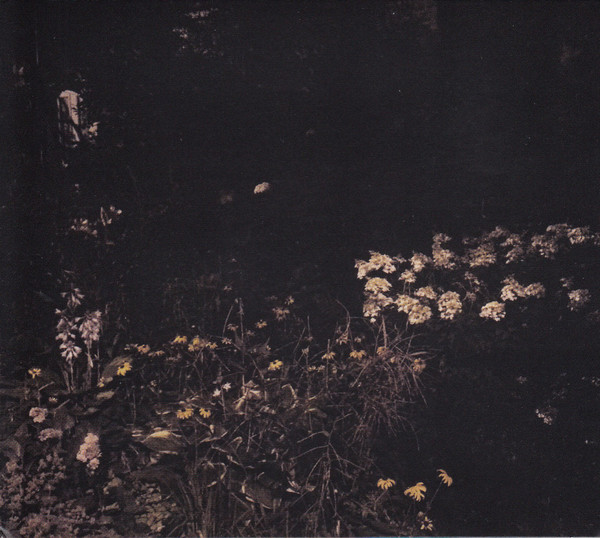 Pale Bloom
