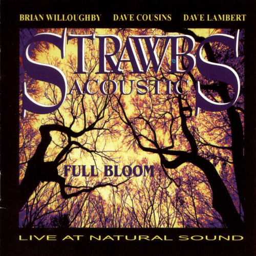 Full Bloom - Live At Natural Sound