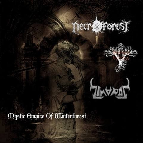 Mystic Empire Of Winterforest