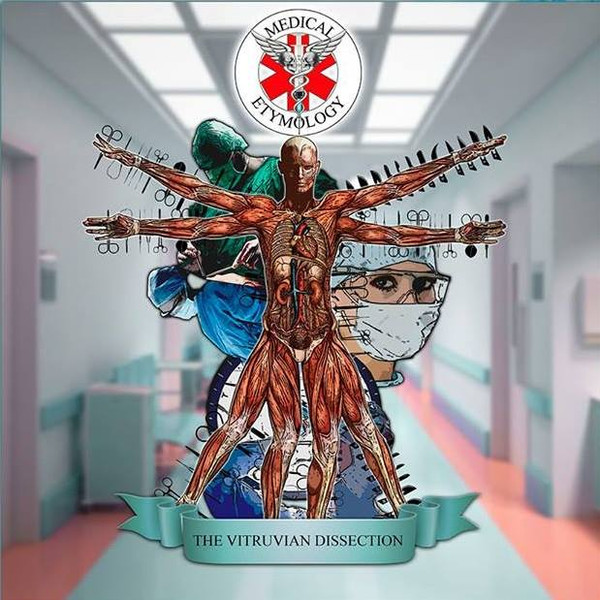 The Vitruvian Dissection