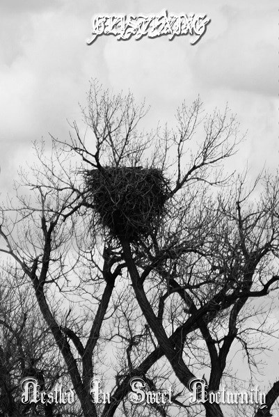 Nestled in Sweet Nocturnity