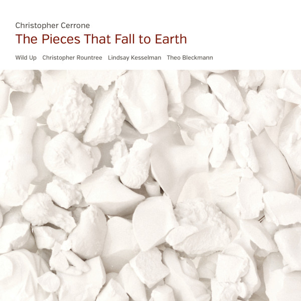 The Pieces That Fall To Earth
