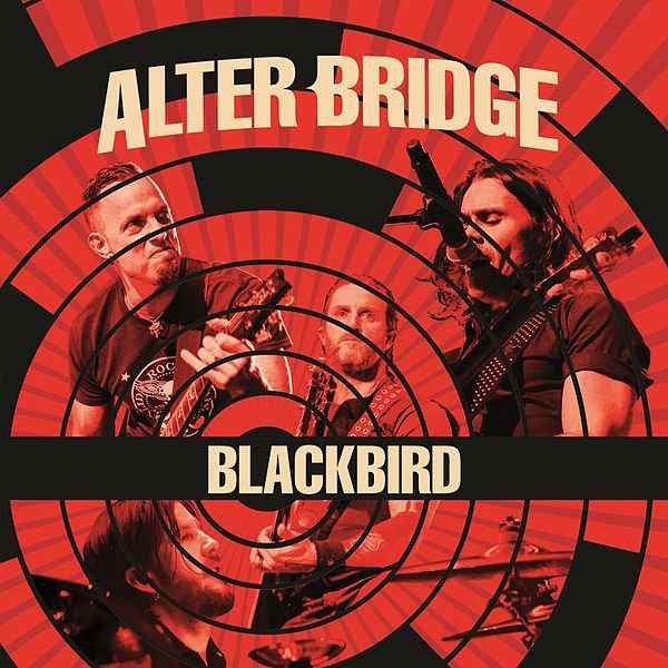 Blackbird (Live)