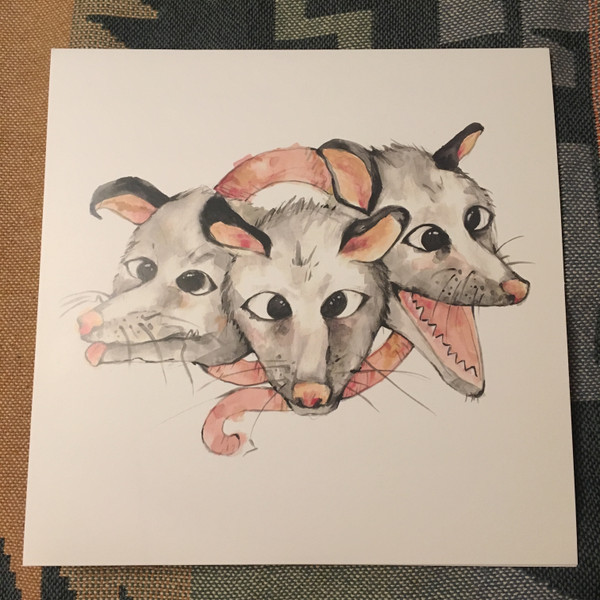 Opossums