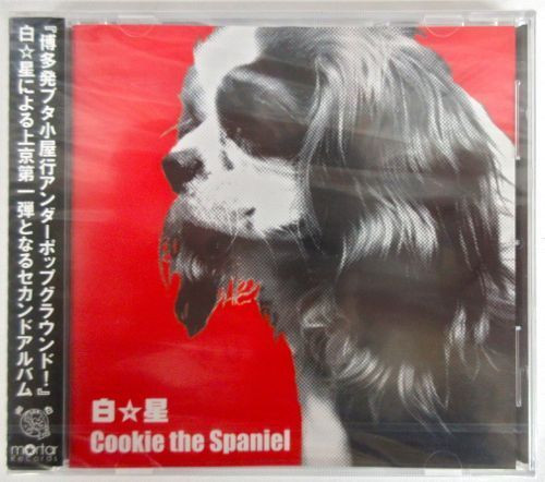 Cookie The Spaniel