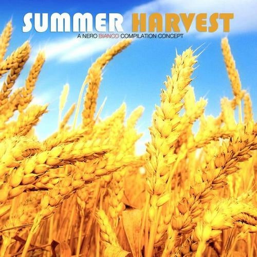 Summer Harvest