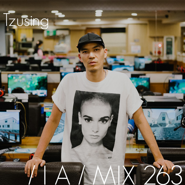 IA Mix 263