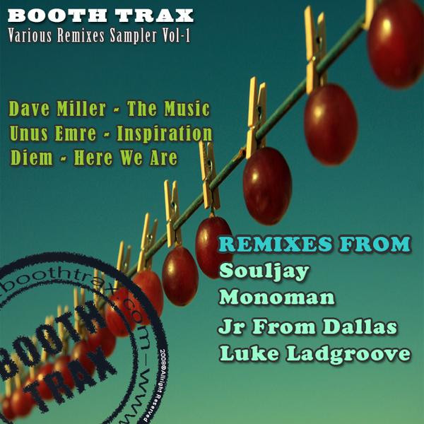 Various Remixes Sampler Vol. 1
