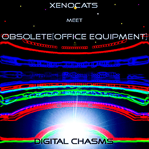 Digital Chasms