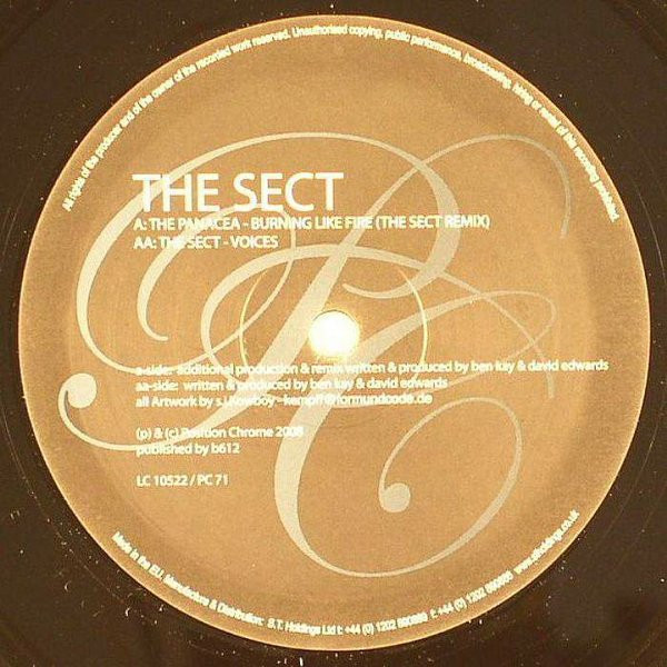 Burning Like Fire (Remix) / Voices