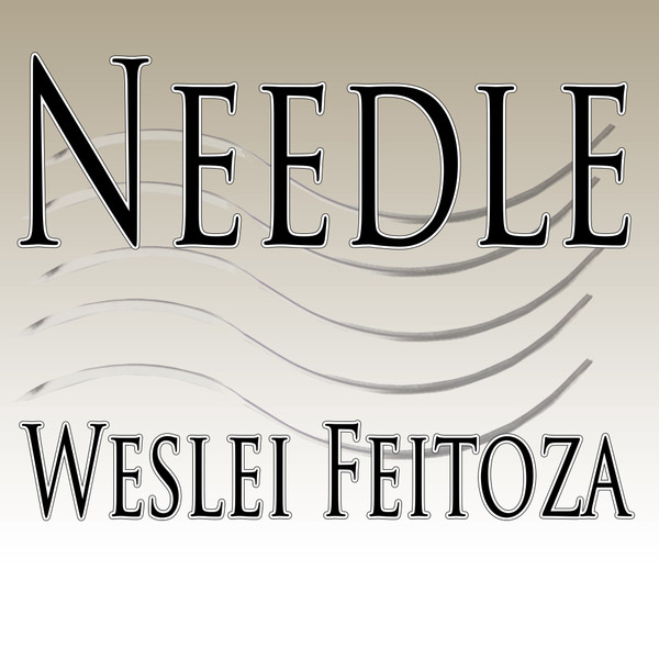 Needle
