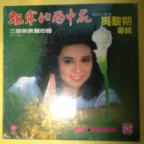 飄零的雨中花