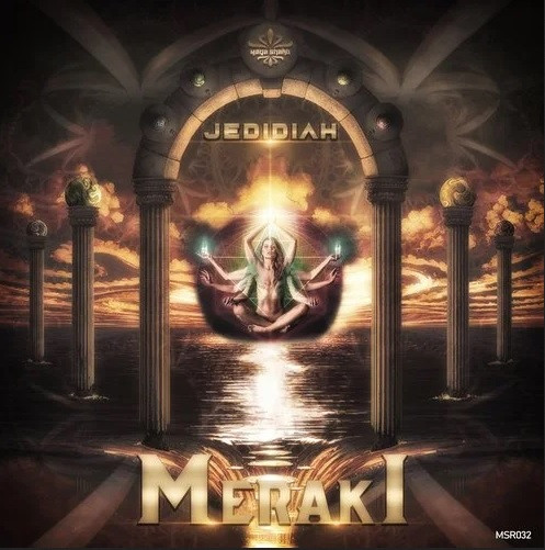 Meraki