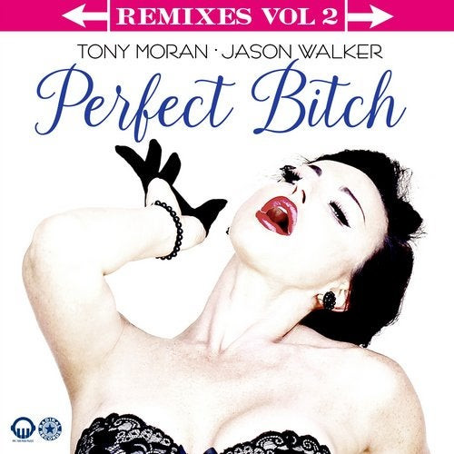 Perfect Bitch (Remixes Vol. 2)