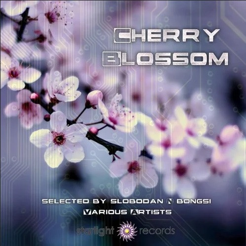 Cherry Blossom