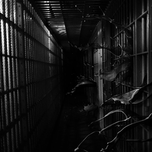 Institution 